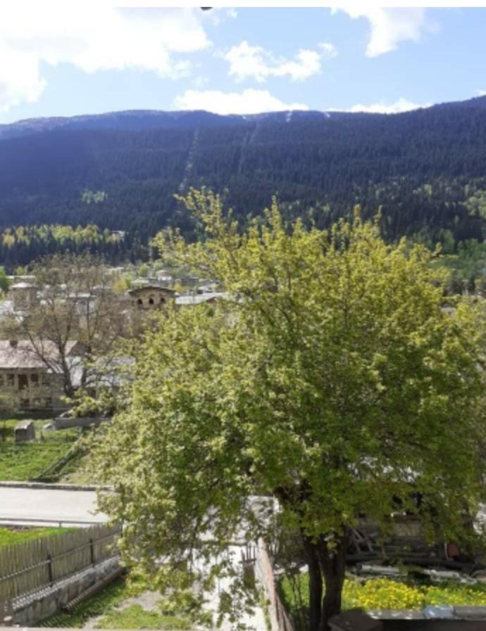 Hotel White Mountains • Თეთრი Მთები Mestia Kültér fotó